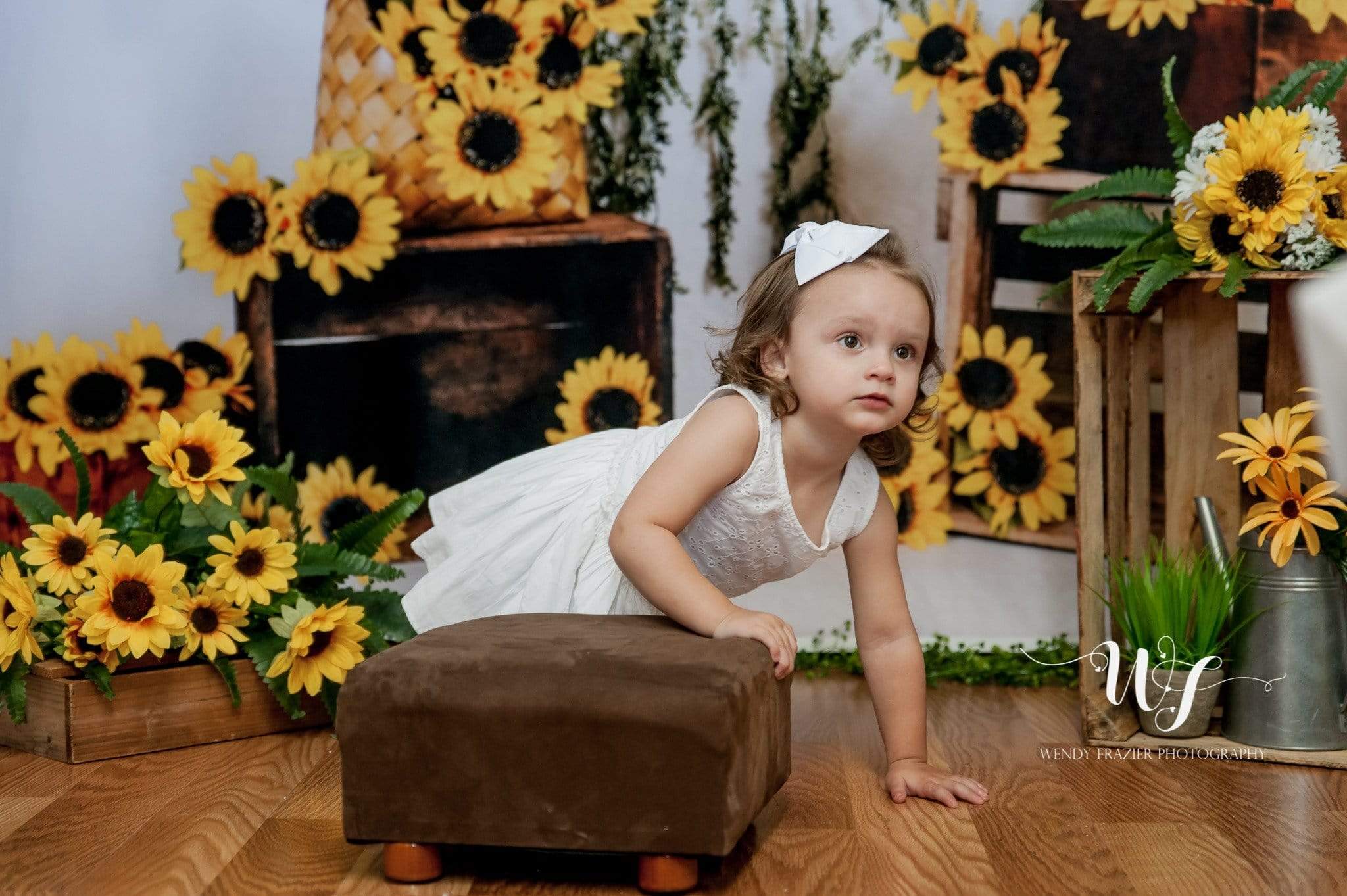 Katebackdrop£ºKate Sunflower Summer Backdrop for Photography Designed by Keerstan Jessop