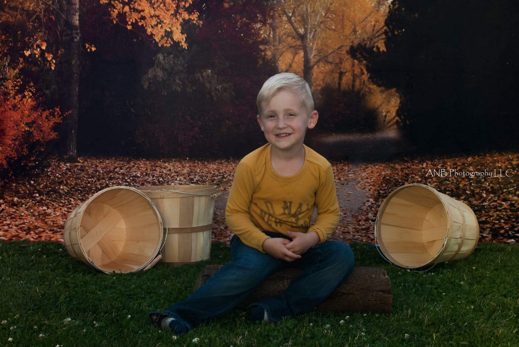 Katebackdrop£ºKate Autumn's Walk Backdrop for Fall Designed By Rose Abbas