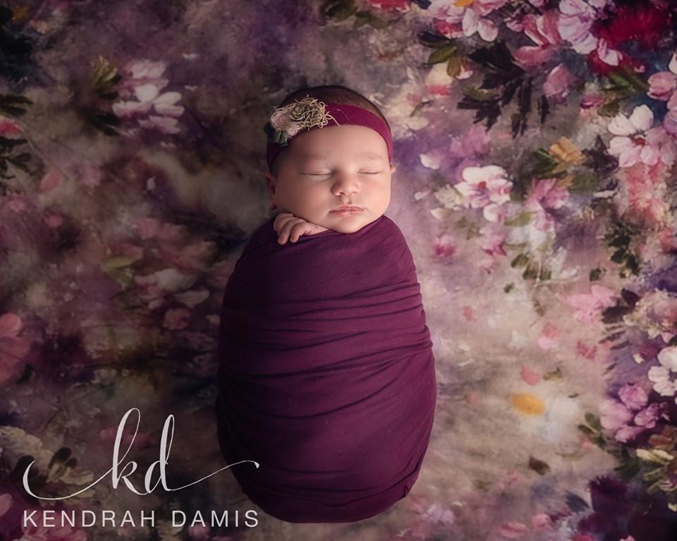 Katebackdrop£ºKate Fantasy Purple Flowers Valentines background for Photography
