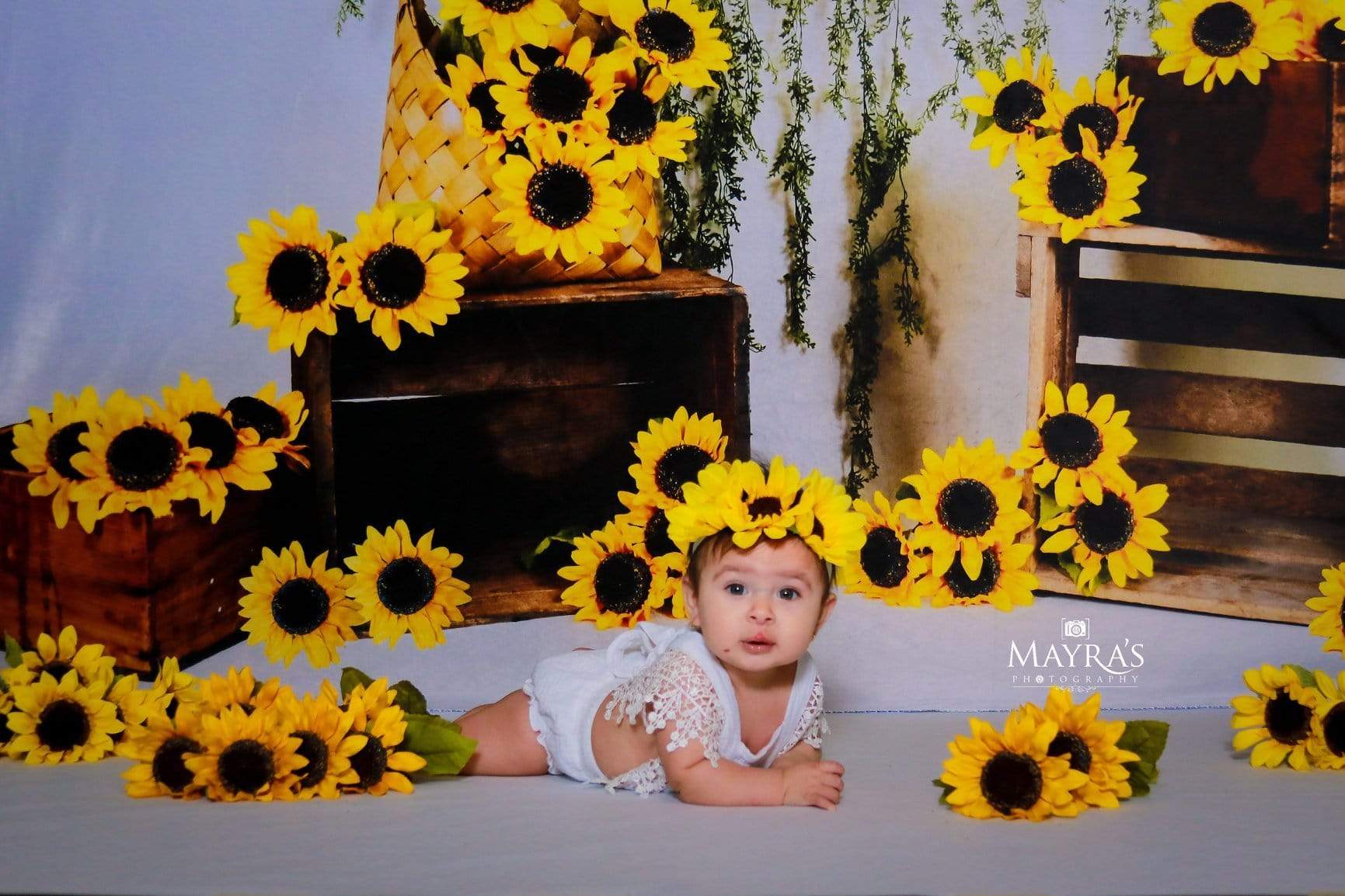 Katebackdrop£ºKate Sunflower Summer Backdrop for Photography Designed by Keerstan Jessop
