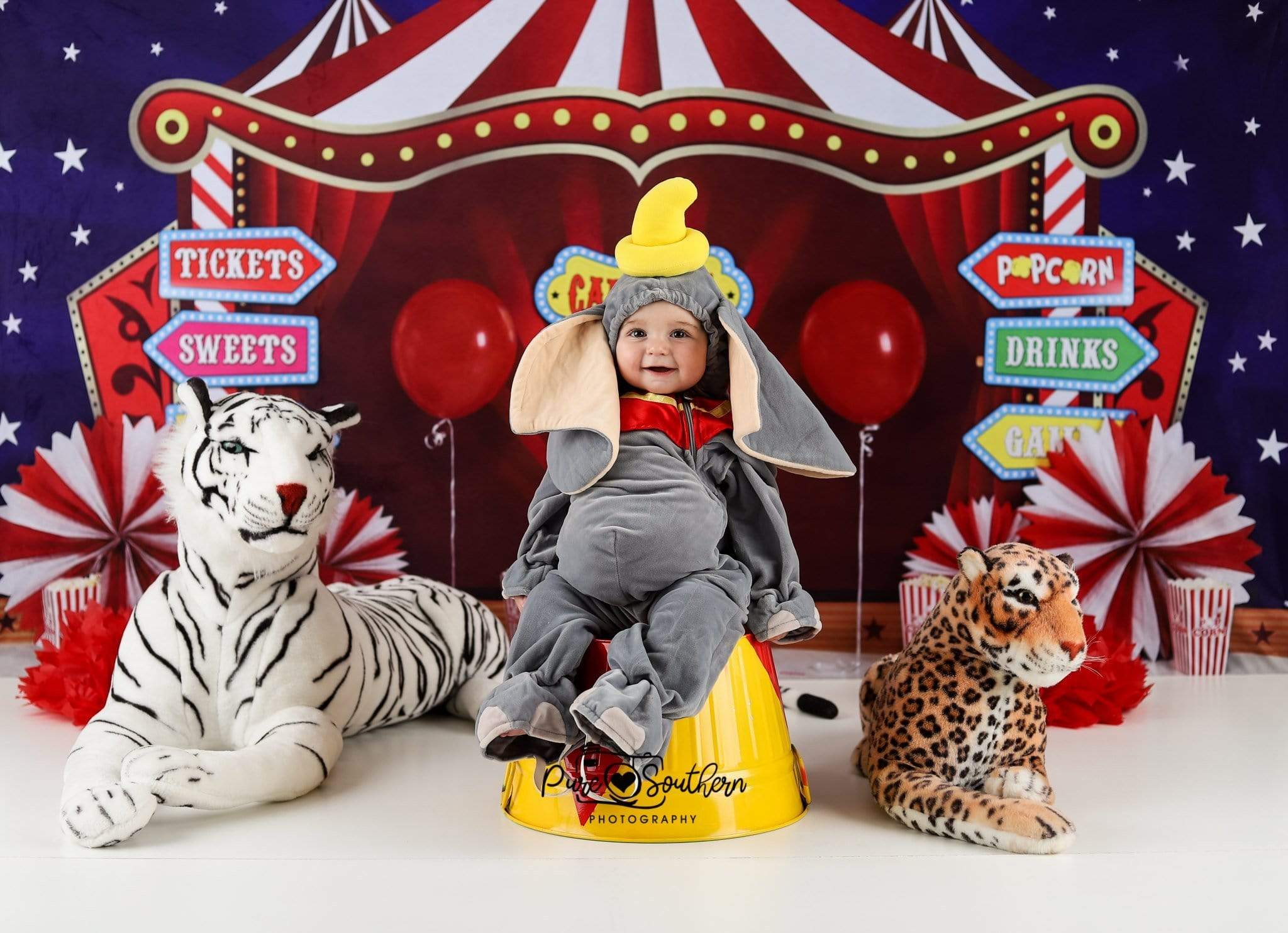 Kate Cake Smash Cirque Carnival Enfant Toile de fond conçue par Sherie Skelly