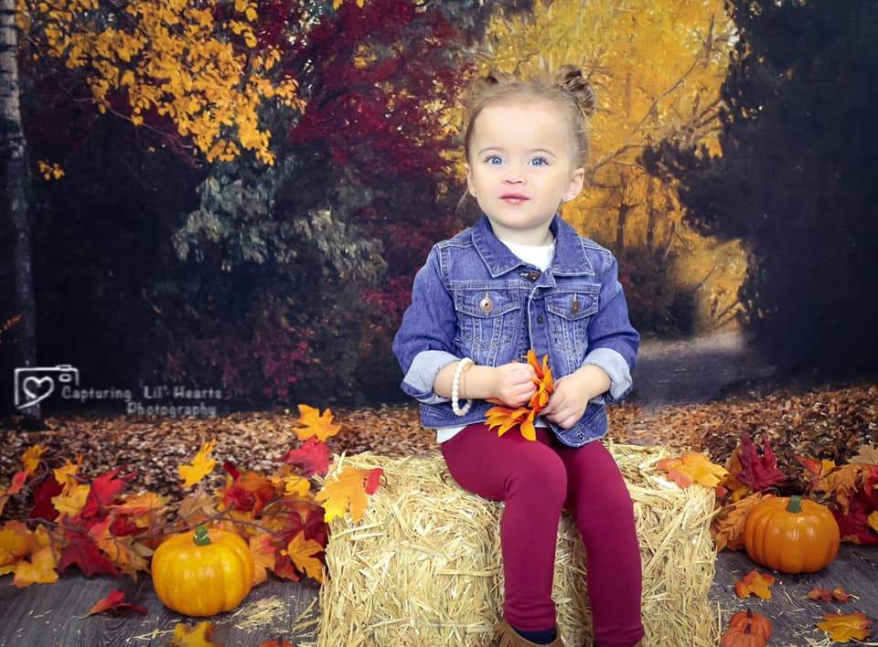 Katebackdrop£ºKate Autumn's Walk Backdrop for Fall Designed By Rose Abbas