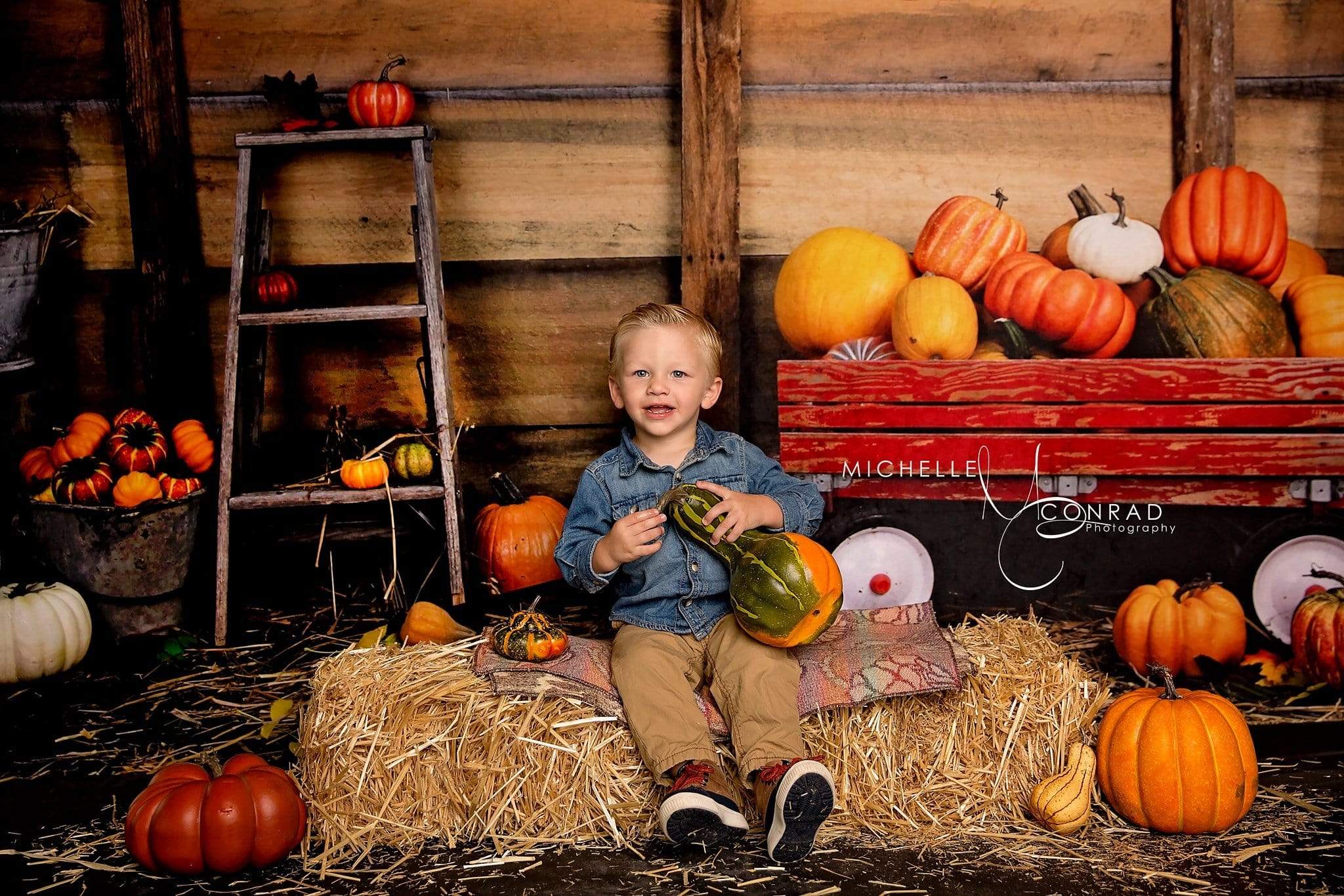 Katebackdrop£ºKate Pumpkin Harvest Backdrop Autumn and Halloween designed by Arica Kirby