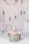 Katebackdrop£ºKate Christmas White Room with Potted Plant Decorations Backdrop