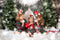Katebackdrop£ºKate Christmas Pines Tree Farm Path Backdrop for Photography