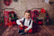 Kate Mur de briques Saint-Valentin Toile de fond conçue par Megan Leigh - Kate Backdrop FR