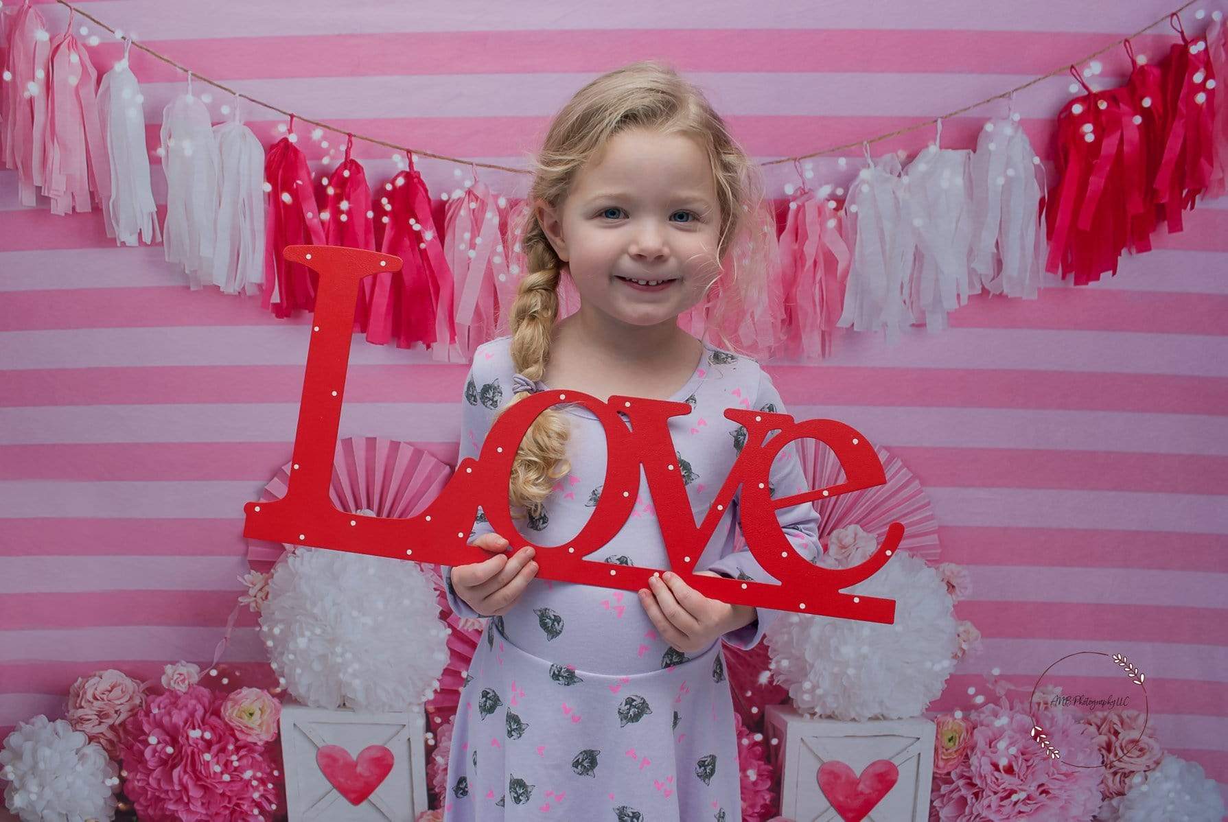 Katebackdrop£ºKate Valentine's Day with Hearts and Stripes Backdrop Designed By Mandy Ringe Photography