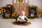 Katebackdrop£ºKate Sunflower Spring Backdrop Designed by Jia Chan Photography