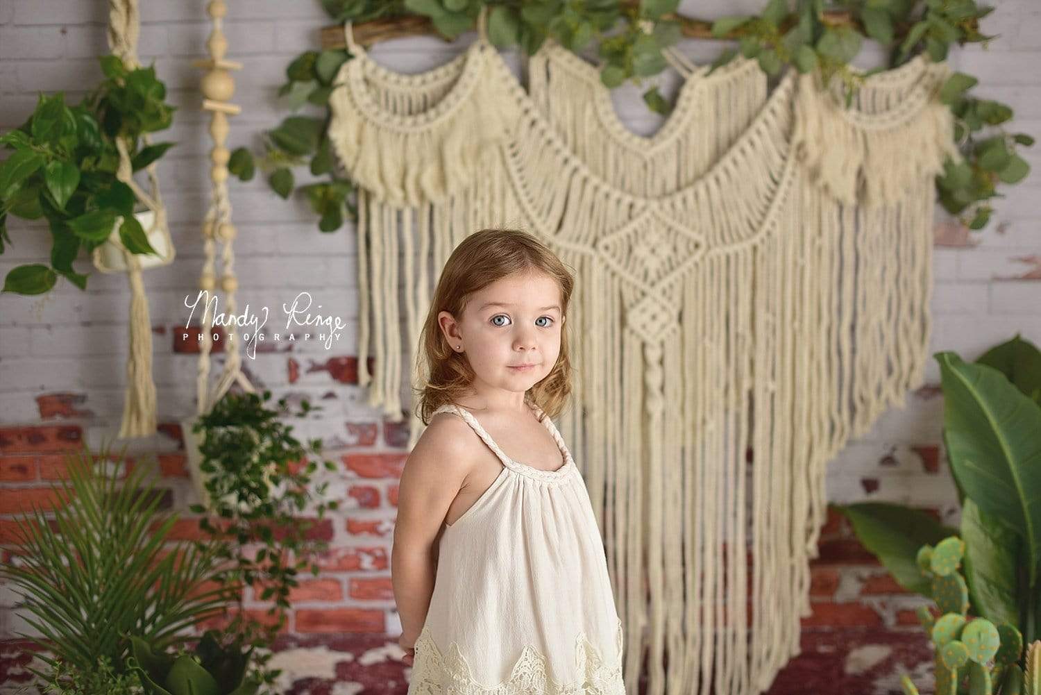 Katebackdrop鎷㈡綖Kate Spring Boho Macrame Wall with Plants Backdrop Designed By Mandy Ringe Photography