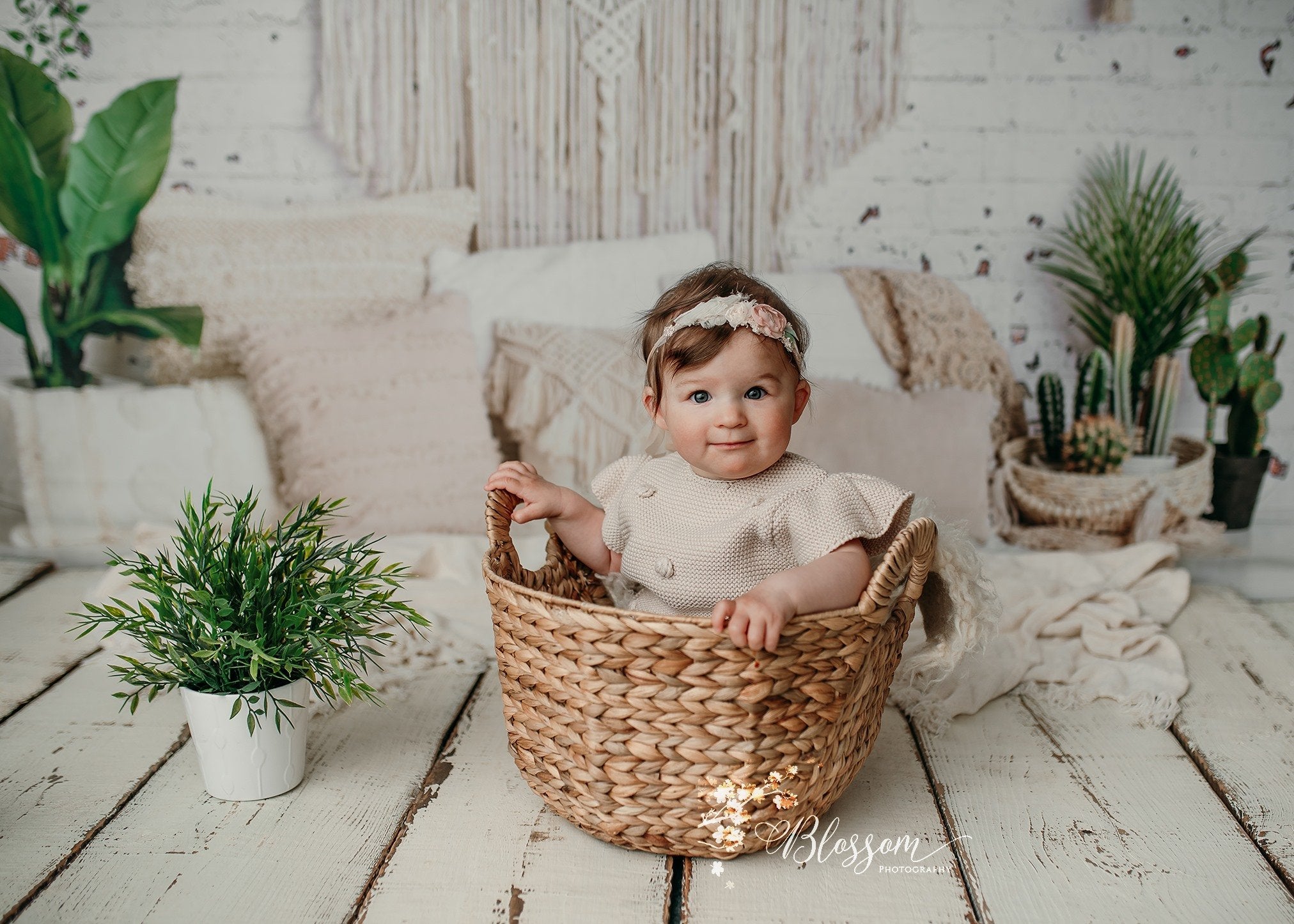 Kate Coussins Boho Plantes Printemps Fête des mères Toile de fond conçu par Mandy Ringe Photographie