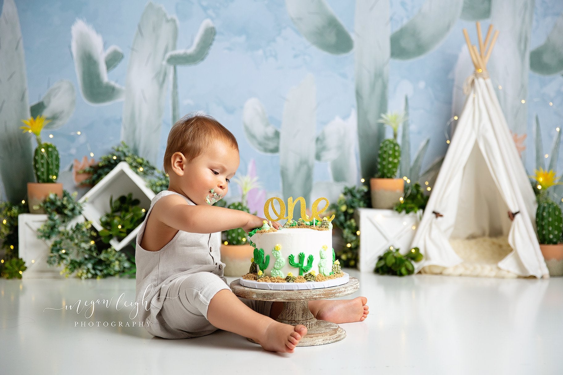 Kate Cactus Printemps Enfants Anniversaire Toile de fond conçue par Megan Leigh - Kate Backdrop FR