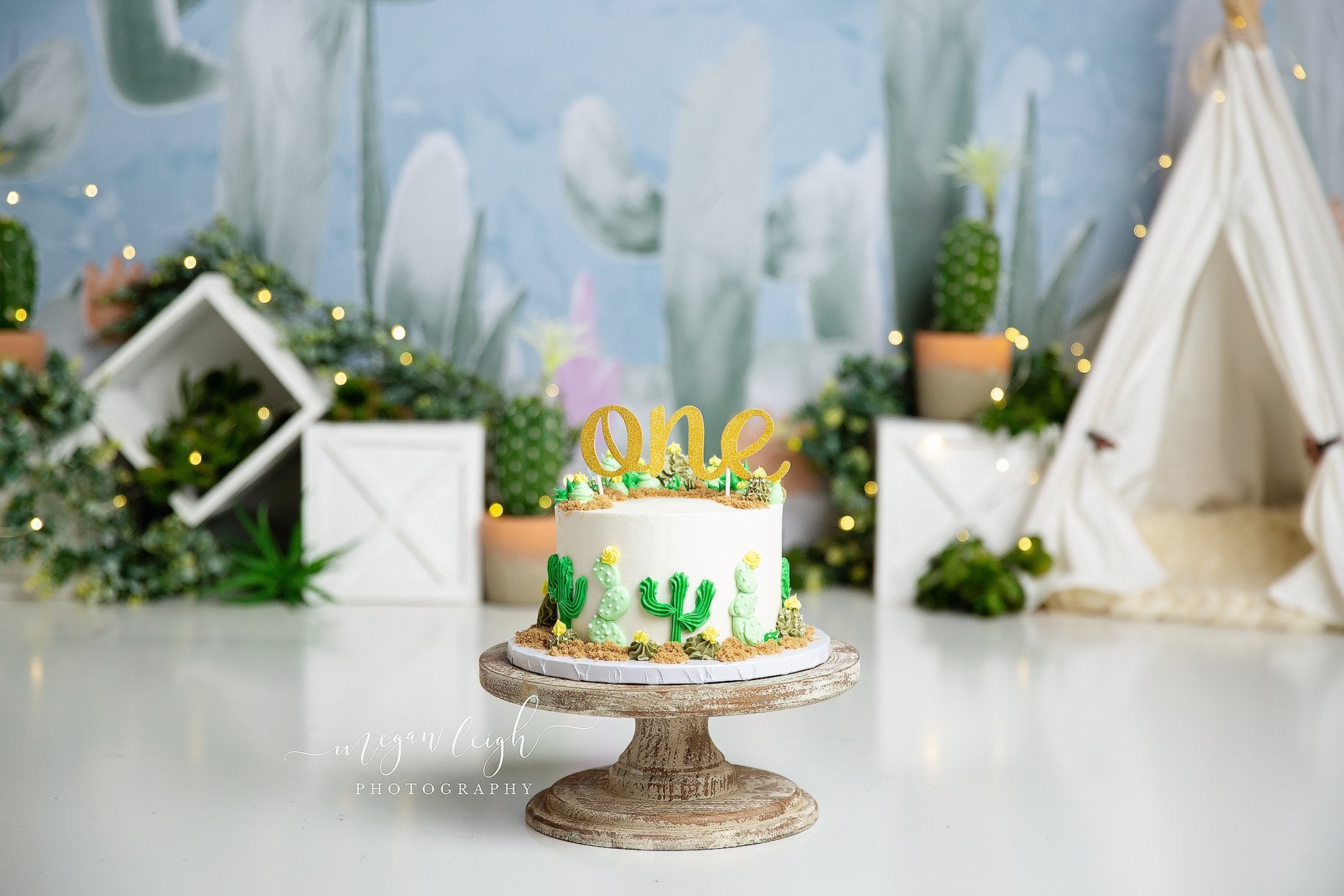 Kate Cactus Printemps Enfants Anniversaire Toile de fond conçue par Megan Leigh - Kate Backdrop FR