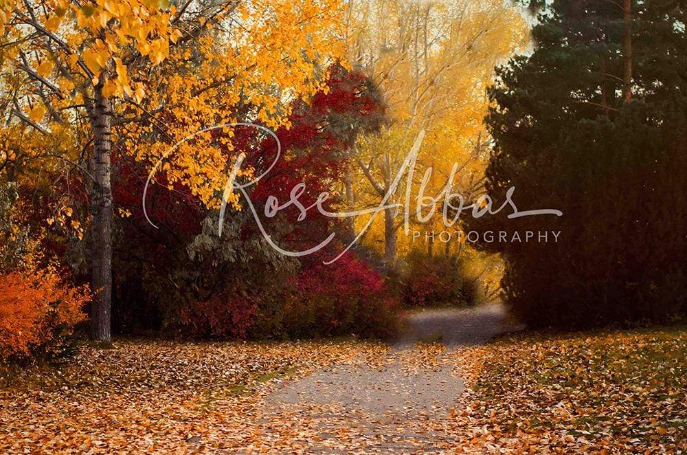 Katebackdrop£ºKate Autumn's Walk Backdrop for Fall Designed By Rose Abbas