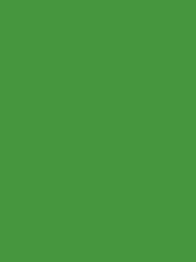 Kate Couleur unie Vert Toile de fond Photographie de portrait - Kate Backdrop FR