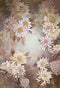 Kate Toile de fond Beaux-arts Vintage Fleurs roses Conçu par GQ - Kate Backdrop FR