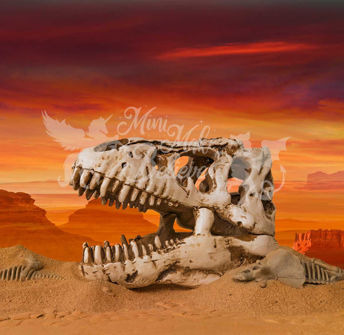 Kate Dinosaure Crâne Désert Paléontologiste Garçon Toile de fond conçue par Mini MakeBelieve