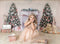 Kate Mur Rose Cheminée Sapin de Noël Toile de fond pour la photographie - Kate Backdrop FR