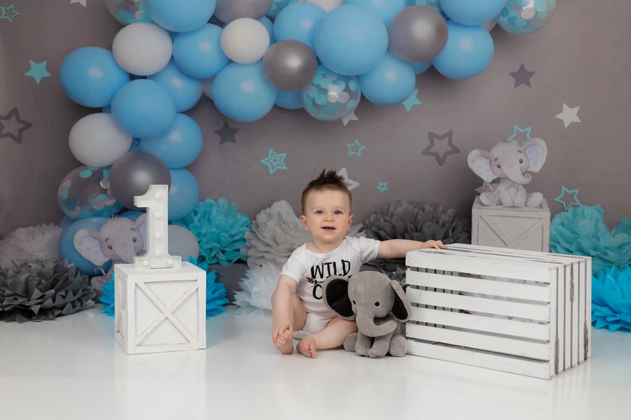 Kate Mur gris Éléphant Cake smash Ballon Bleu Toile de fond conçu par Melissa King - Kate Backdrop FR