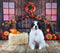 Kate Planche de bois Citrouille Automne Tête de lit Toile de fond conçue par Emetselch - Kate Backdrop FR