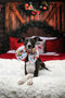 Kate Chalet Noël Porte de Grange Lit Rouge Oreiller Toile de Fond pour la Photographie - Kate Backdrop FR