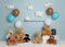 Kate Ours en peluche Bleu Anniversaire Pique-nique Toile de fond conçu par Melissa King - Kate Backdrop FR