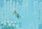 Kate Fleur Grain de Bois Toile de Fond Printemps Bleu Vintage Conçu par Chain Photographie - Kate Backdrop FR
