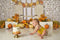 Kate Citrouilles Automne Paillettes Toile de fond conçue par Mandy Ringe - Kate Backdrop FR