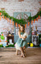 Kate Carottes Lapin Pâques Œufs Toile de fond conçue par Emetselch - Kate Backdrop FR