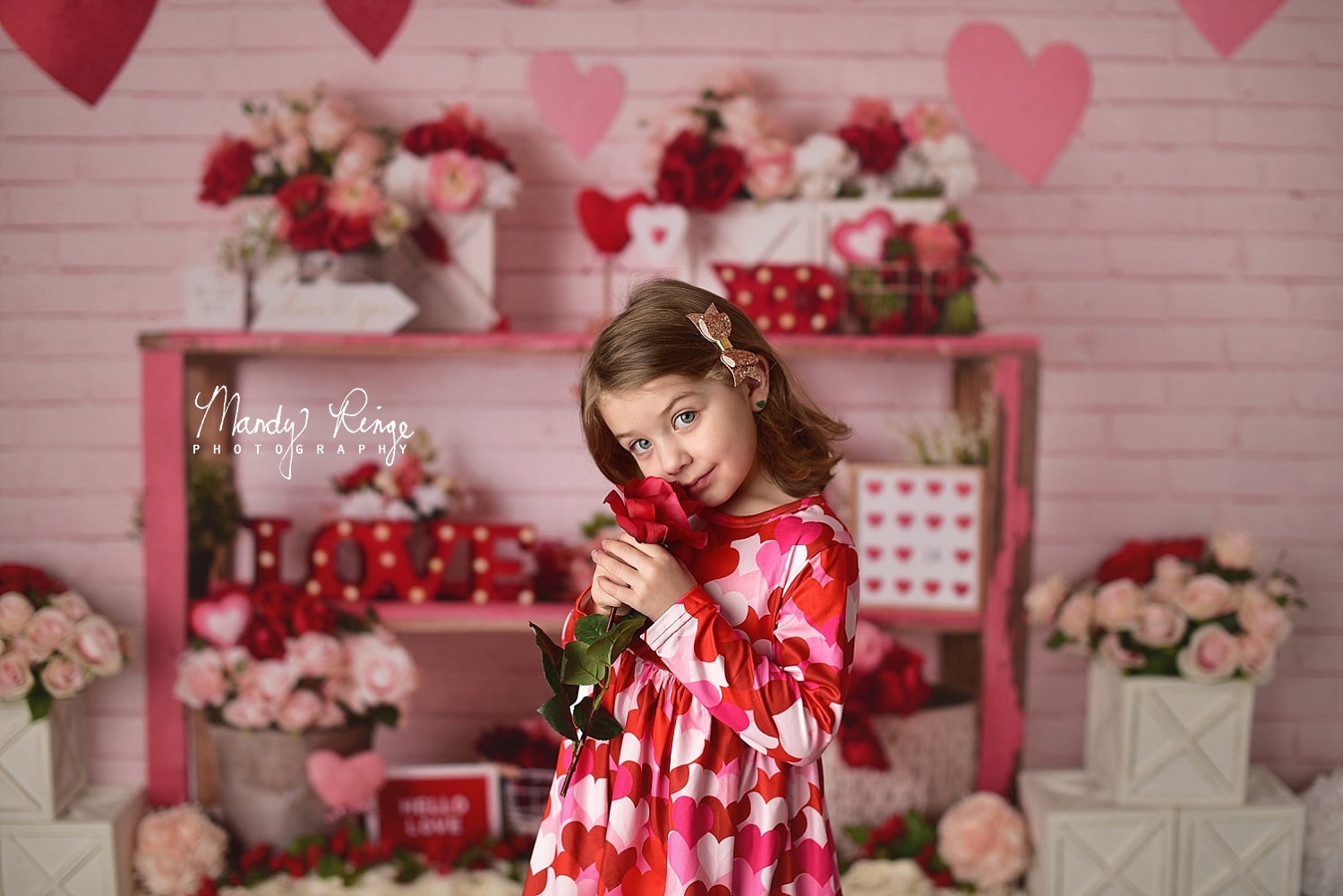 Kate Coeur Amour Saint-Valentin Rose Toile de fond conçu par Mandy Ringe Photographie