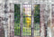 Kate Printemps Mur Vintage Extérieur Fenêtre Toile de fond conçue par Chain Photographie - Kate Backdrop FR