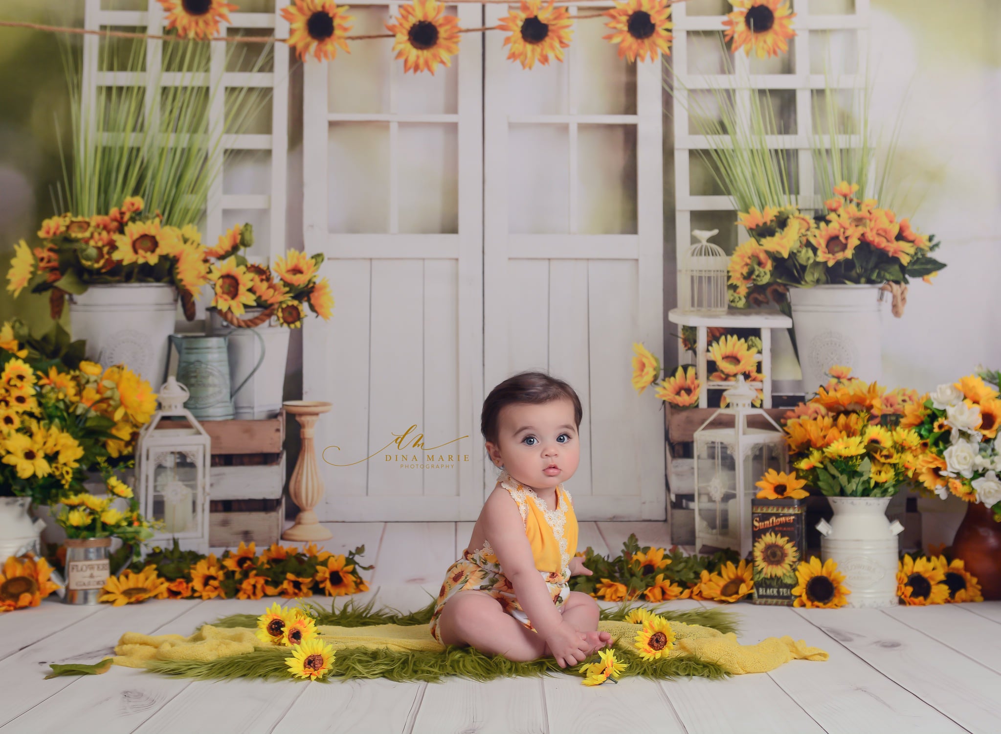 Kate Été Fenêtre Tournesols Porte Toile de fond conçue par Emetselch