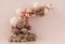 Kate Ballons Boho Rose Anniversaire Toile de fond conçue par Uta Mueller Photographie - Kate Backdrop FR