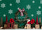 Kate Joie de Noël Vert Neige Photographie Toile de fond conçue par Megan Leigh - Kate Backdrop FR