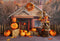 Kate Échelle Ferme de citrouilles Automne Toile de fond pour la photographie - Kate Backdrop FR