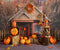 Kate Échelle Ferme de citrouilles Automne Toile de fond pour la photographie - Kate Backdrop FR