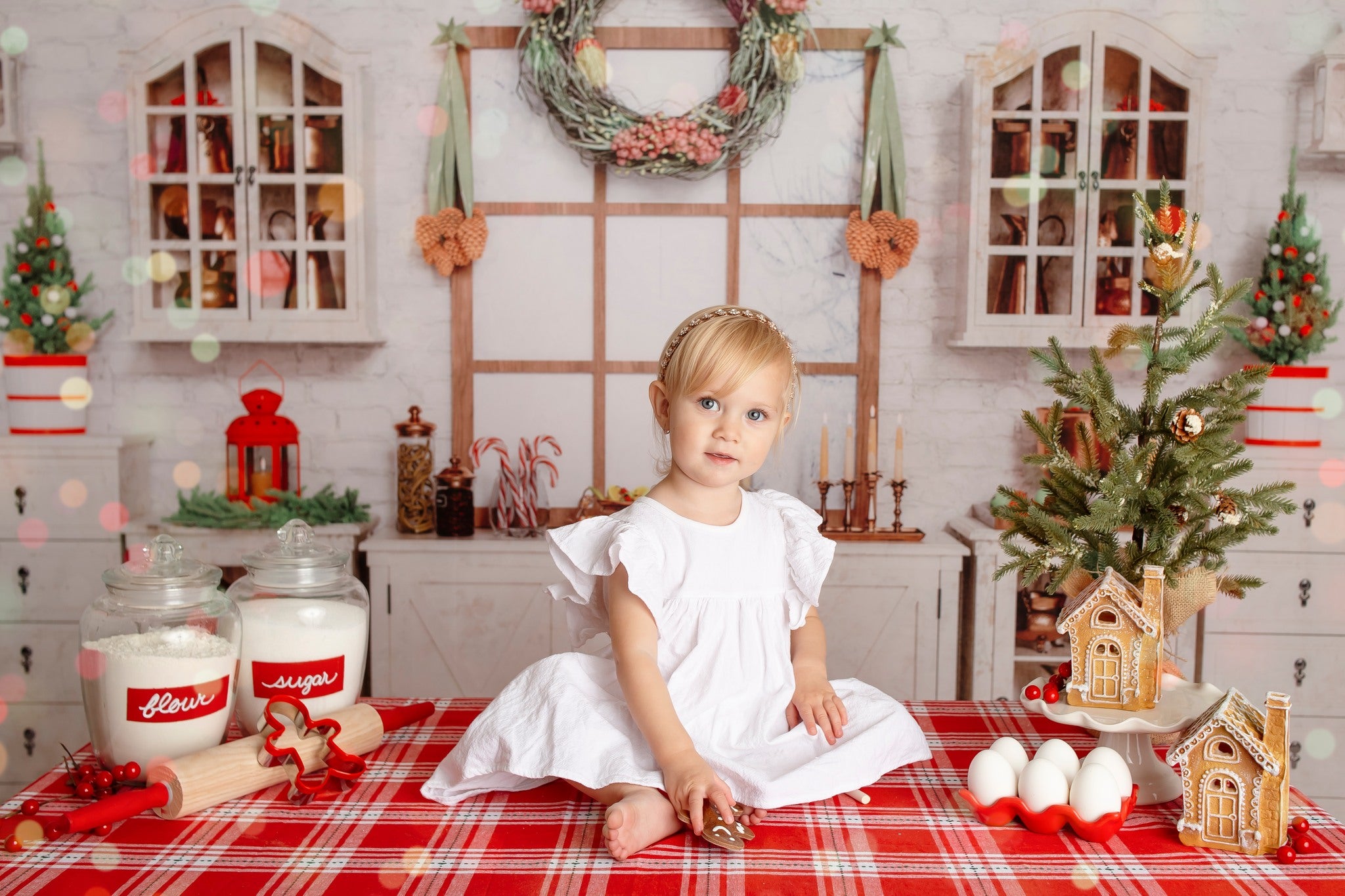 Kate Blanc Cuisine Noël Fenêtre Toile de fond pour la photographie