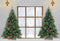 Kate Arbre de Noël Fenêtre Hiver Toile de fond pour la photographie - Kate Backdrop FR