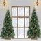 Kate Arbre de Noël Fenêtre Hiver Toile de fond pour la photographie - Kate Backdrop FR