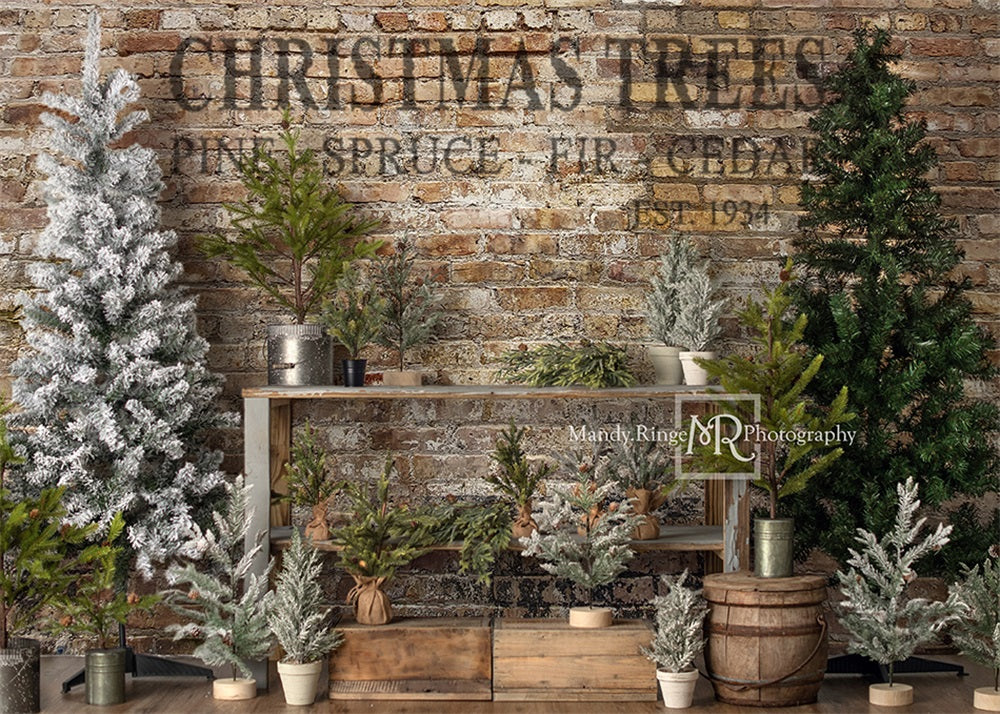 Kate Arbre Ferme Mur de briques Noël Toile de fond conçu par Mandy Ringe