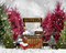 Kate Boules de neige Hiver Arbres Rouge Vert Toile de fond conçue par Mini MakeBelieve - Kate Backdrop FR