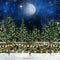 Kate Noël Hiver Forêt Lune Neige Toile de fond pour la photographie - Kate Backdrop FR