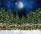 Kate Noël Hiver Forêt Lune Neige Toile de fond pour la photographie - Kate Backdrop FR