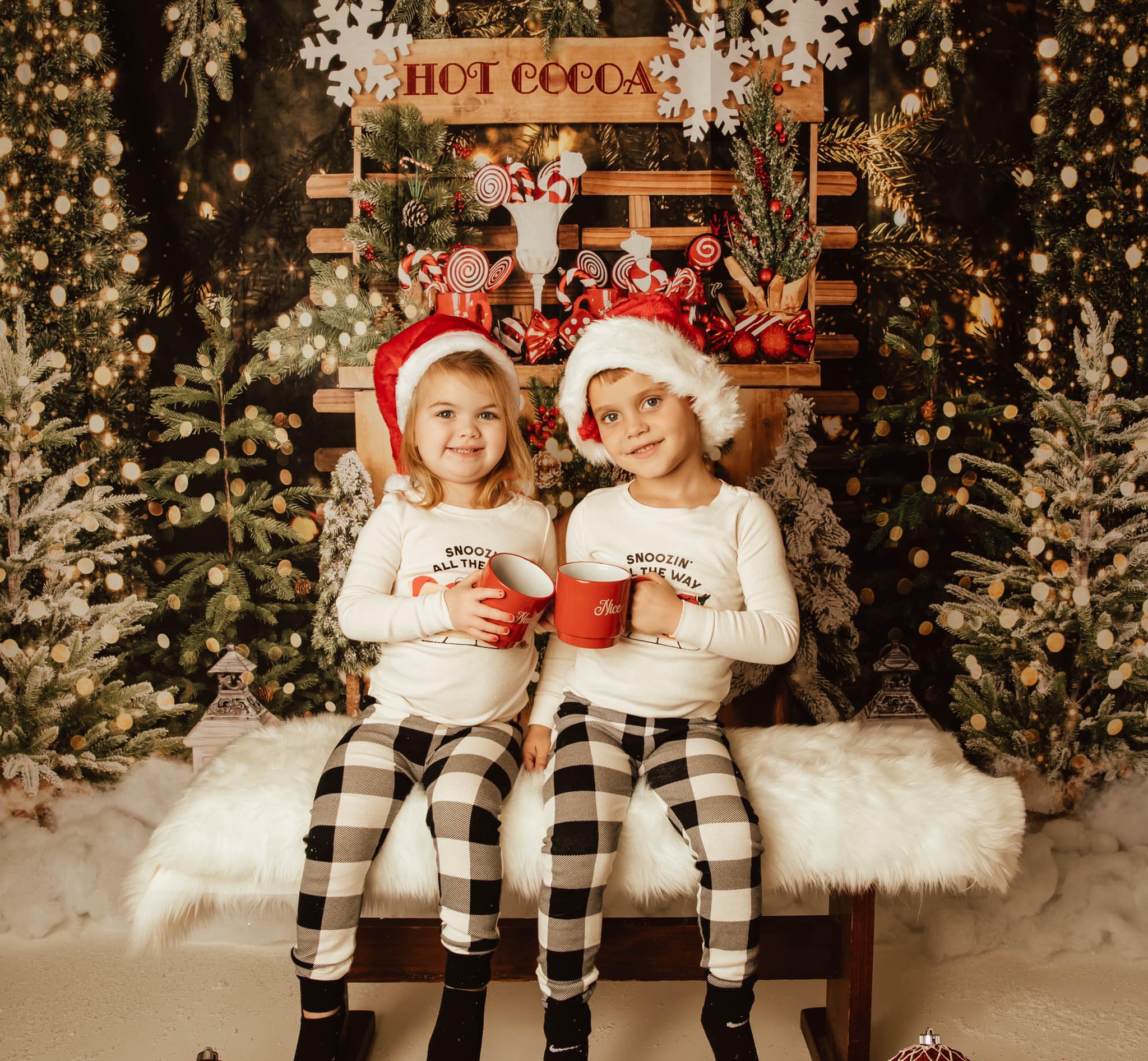 Kate Nuit Cacao chaud Arbres de Noël Toile de fond conçu par Emetselch - Kate Backdrop FR