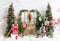 Kate Neige Arbre de Noël Hiver Toile de fond conçue par Emetselch - Kate Backdrop FR