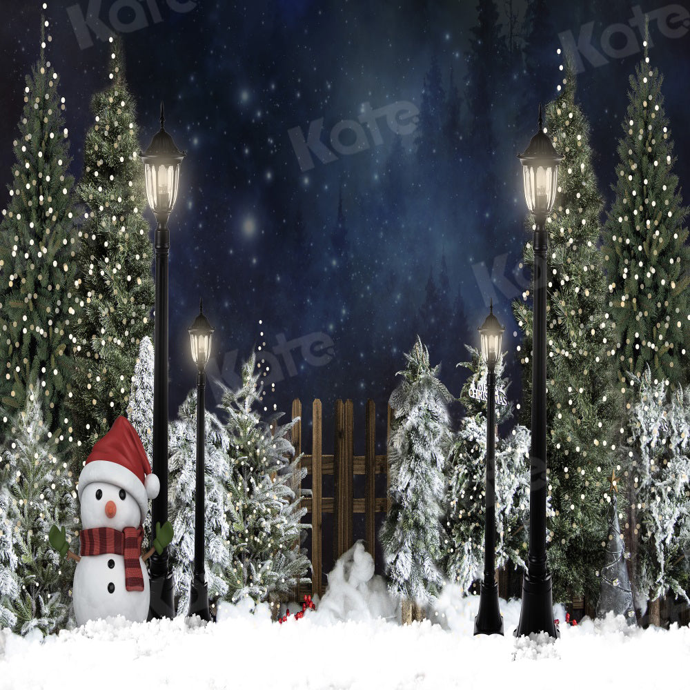 Kate Clôture Bonhomme de neige Noël Hiver Nuit Toile de fond pour la photographie