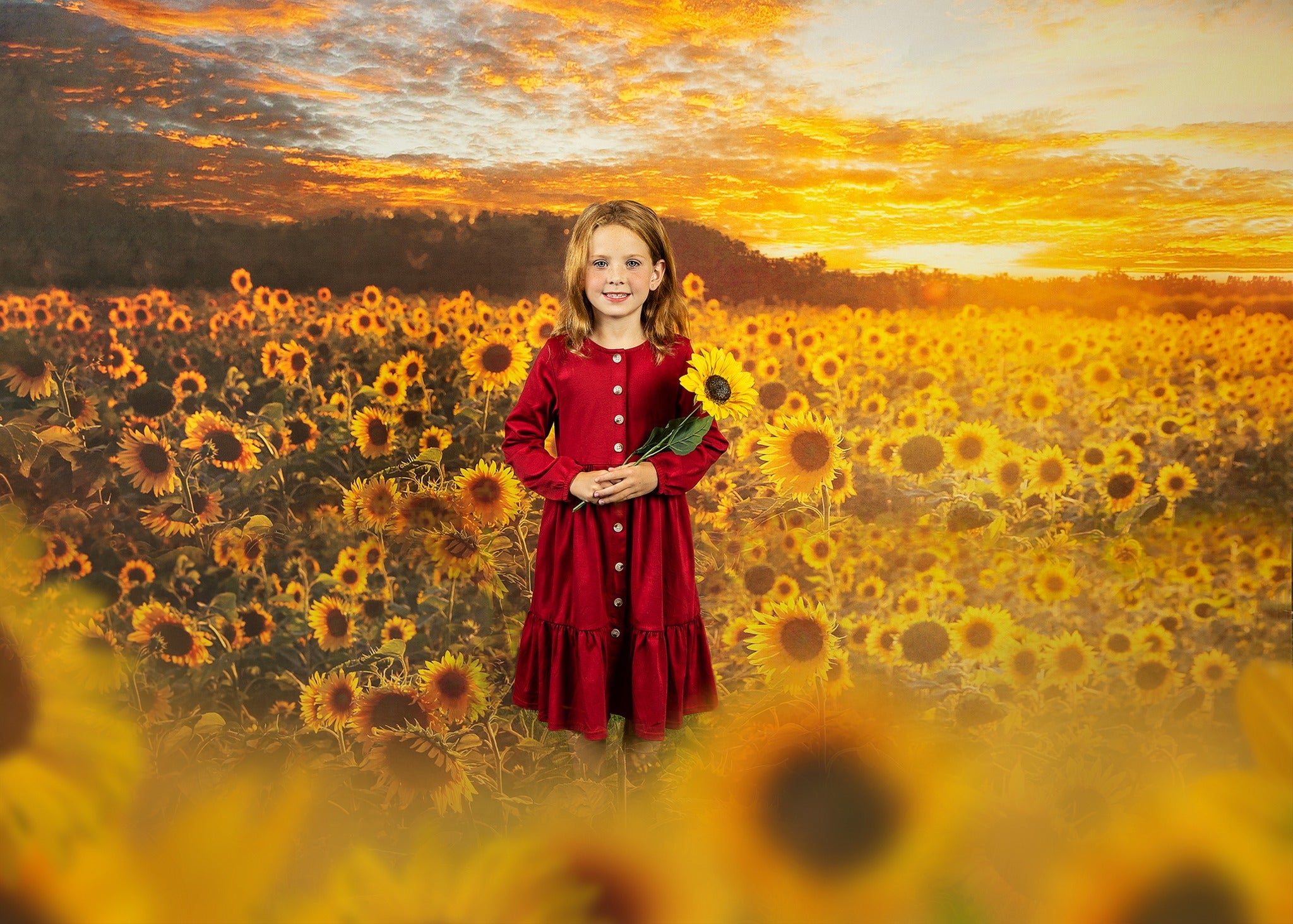 Kate Coucher de soleil Champ de tournesol Automne Toile de fond Conçu par Chain Photographie - Kate Backdrop FR