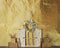 Kate Automne Doré Simple Porte Toile de fond conçue par Mandy Ringe - Kate Backdrop FR