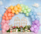 Kate Anniversaire Ballons Ciel Fleur Toile de fond conçu par Emetselch - Kate Backdrop FR