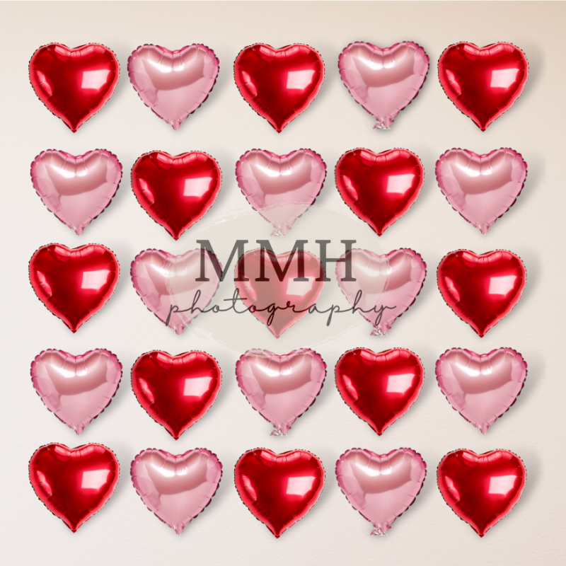 Kate Coeur Saint-Valentin Rouge Rose Toile de fond conçu par Melissa McCraw-Hummer - Kate Backdrop FR