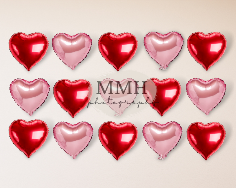 Kate Coeur Saint-Valentin Rouge Rose Toile de fond conçu par Melissa McCraw-Hummer - Kate Backdrop FR